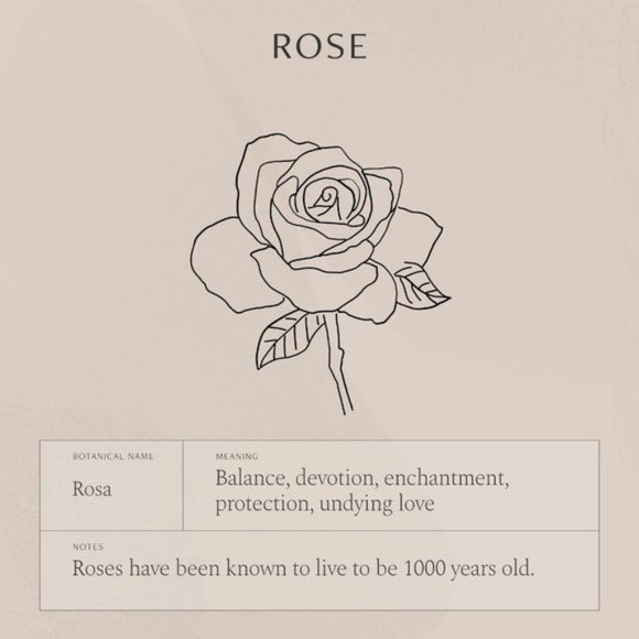 Rose June Birth Flower Engraved Cute Gift Necklace - Picture 6 of 16